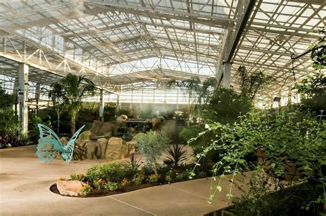 The Butterfly Pavilion: Enchanting Wonderland for Nature Enthusiasts!