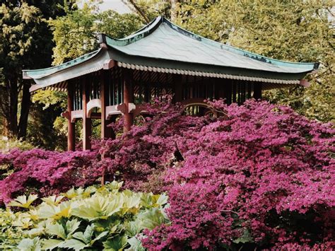 Heihe Botanical Garden - En frodig oas med över 2000 växtarter!