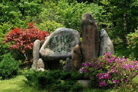 Lushan Botaniska Trädgård - En Grönskande Oas Med Utsikt Över Nio Berg!