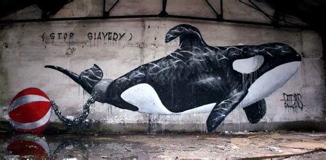  The Killer Whale Mural: A Dive into Street Art Splendor