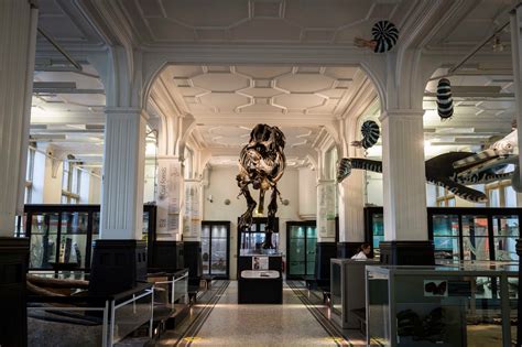  The Manchester Museum: Ett äventyr i natur och kulturhistoria!