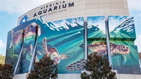 Virginia Aquarium & Marine Science Center: En Uppfriskande Djupdykning i Virginia Beachs Vattenvärld!