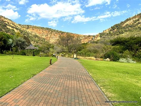 Walter Sisulu National Botanical Garden: En Oas av Biodiversitet och Skönhet i Johannesburg!