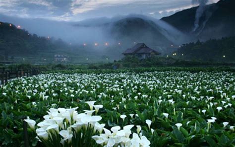 Yangmingshan National Park: En Vacker Oas Med Fantastiska Utsikter!