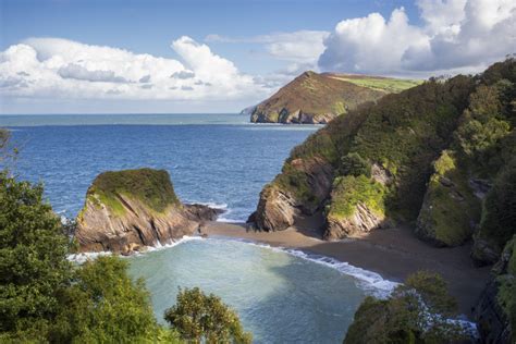  Zoosafari South Molton: En Vild Naturupplevelse i Devon!